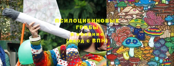 дурь Карталы