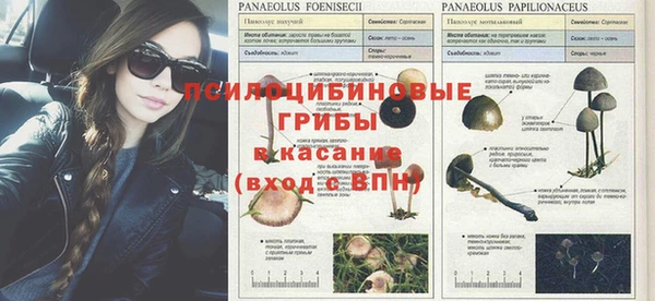 ECSTASY Киреевск