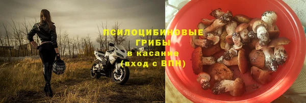молекула духа Киренск