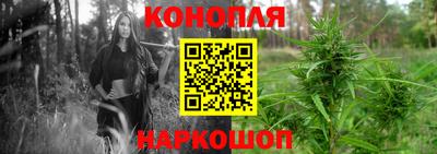 шишки Балашиха