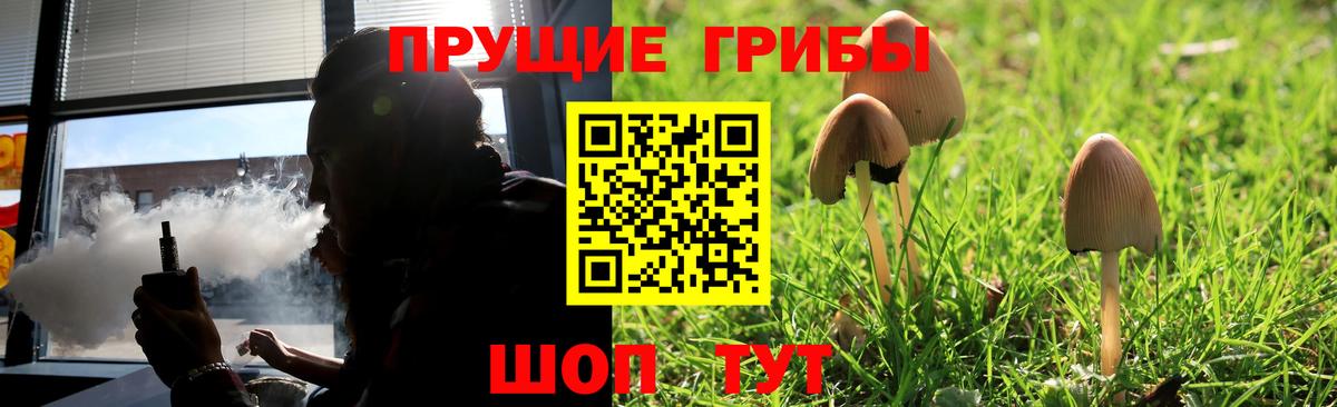 наркота  Галлюциногенные грибы Psilocybine cubensis  Белореченск  Вход с VPN  Псилоцибиновые грибы GOLDEN TEACHER 
